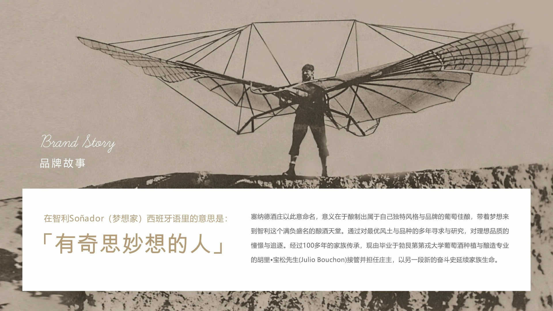 Soñador 塞纳德酒庄｜包装案例第 23 页