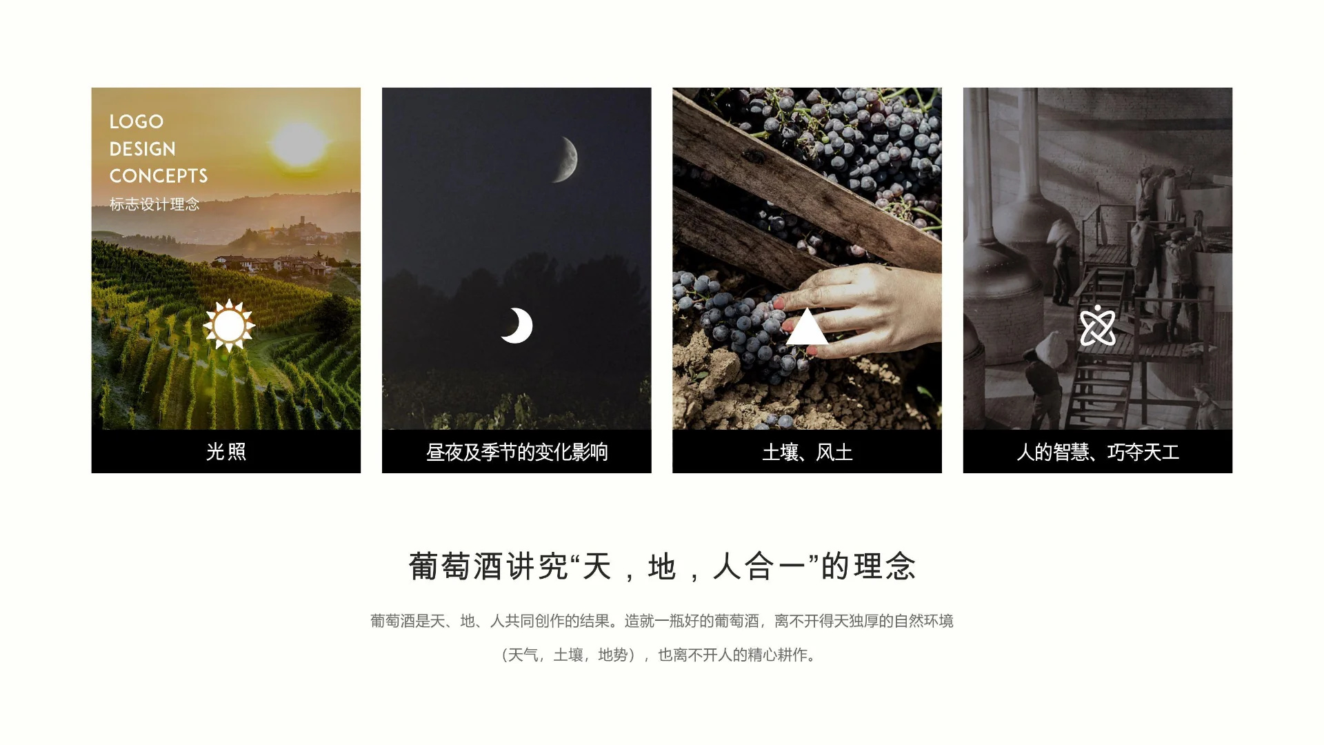 Soñador 塞纳德酒庄｜包装案例第 25 页